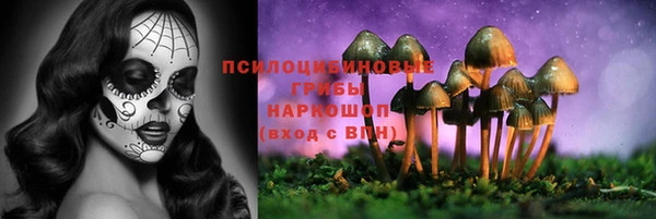 соль ск Медногорск