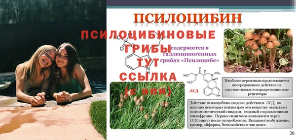 кокс Мегион