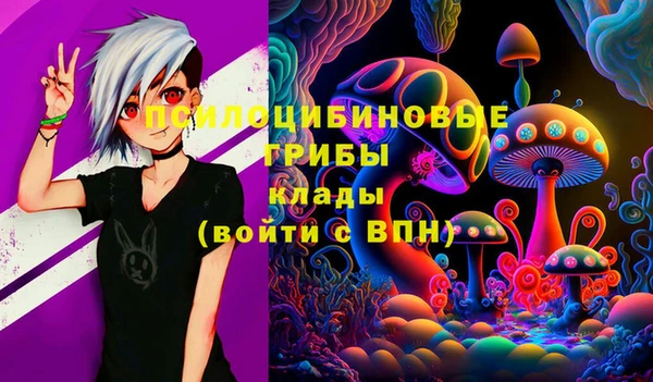 кокс Мегион